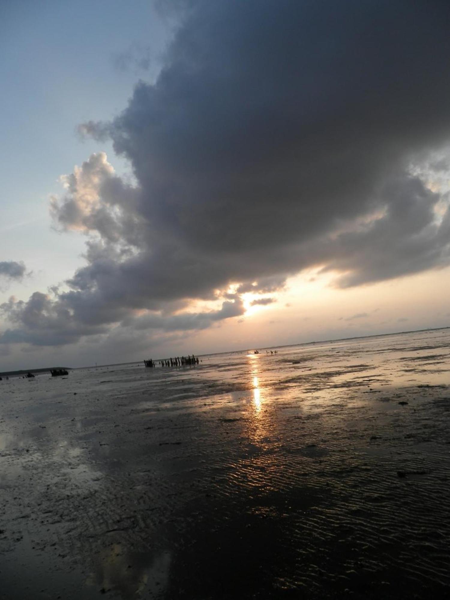 Urlaubsruhe 6 Pers Holiday Home W Terrace Close To National Park Lauwersmeer Anjum Экстерьер фото